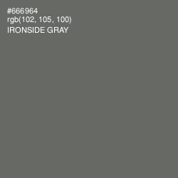 #666964 - Ironside Gray Color Image